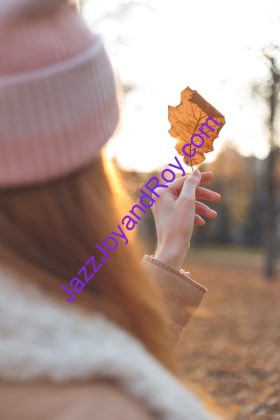 closeup photo of woman holding leaf